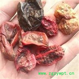 诺源药材行中药材正品优质冷背中药材赤包子图2
