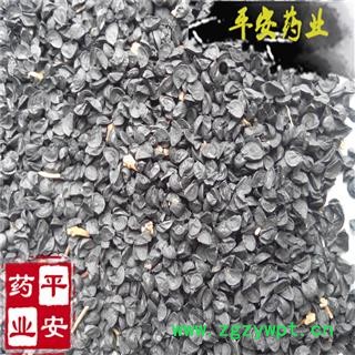 平安药业 葱子 正品 葱籽 过筛除尘 杂质少 经济实惠图2