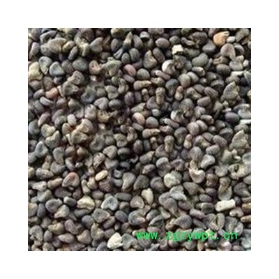 诺源药材行中药材冬葵果 冬葵子