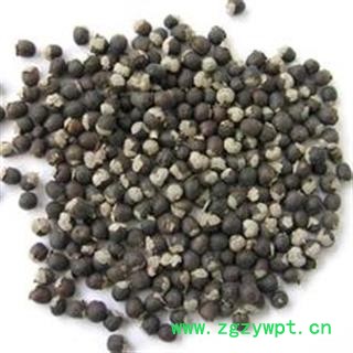 诺源药材行蔓荆子 万荆子 蔓青子图3