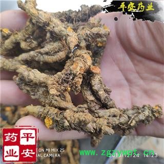 黄连选条 黄连 优质 精品 实物图杜绝假货 无掺杂图2