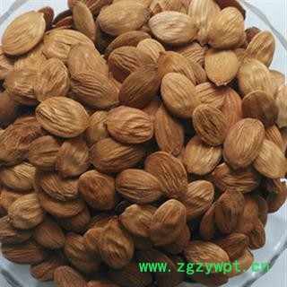 诺源药材行桃仁  山桃仁 大扁桃仁图2