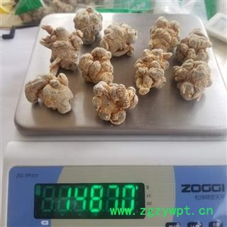 三七 文山特产 水洗三七 各种规格图2