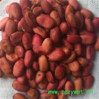 诺源药材行中药材刀豆 红刀豆图3