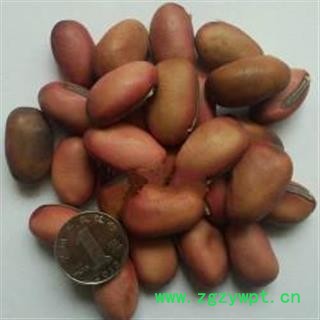 诺源药材行中药材刀豆 红刀豆图2