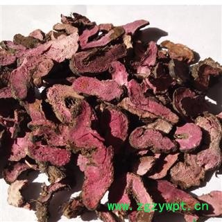 小丽百草行紫参 拳参 草河车统 产地 湖北省  产地直销 重在品质图2