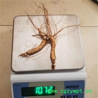 山参 林下山参 5克左右 经济实惠图4