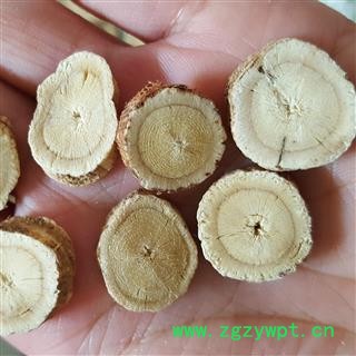 小丽百草行黄芪黄芪产地山西浑源县图2