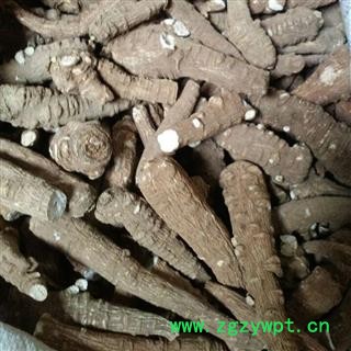 小丽百草行中药材白芷川白芷无硫个子图2