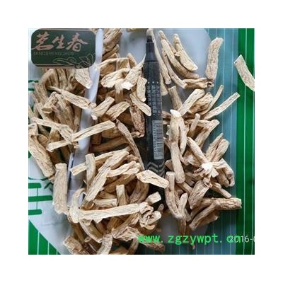 白参 生晒参60支以上白参小段 茗生春药材总公司 一手货源 7天无理由退换