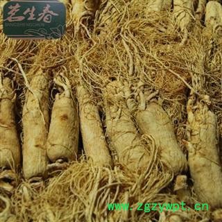 白参 生晒参45支 产地 吉林省 茗生春药材总公司 一手货源 7天无理由退换图2