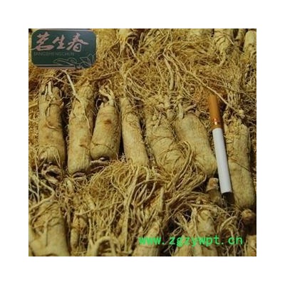 白参 生晒参45支 产地 吉林省 茗生春药材总公司 一手货源 7天无理由退换