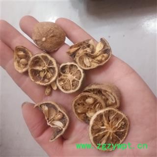 安祁名药枳实 枳壳 枸橘图2