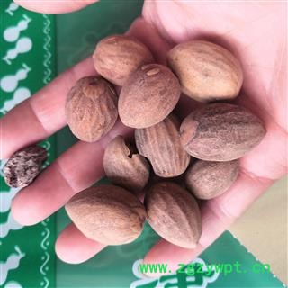 安祁名药榧子  香榧  玉山果 无硫新货图2