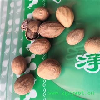安祁名药榧子  香榧  玉山果 无硫新货图3