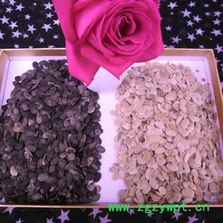 丝瓜籽 统货 产地 四川省成都市双流县图3