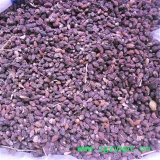 沙棘 统货 产地 四川省阿坝藏族羌族自治州小金县图4