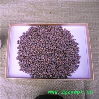 蓖麻子 统货 产地 四川省成都市双流县图3