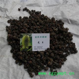 柏树果 精品货 产地 四川省成都市双流县图2