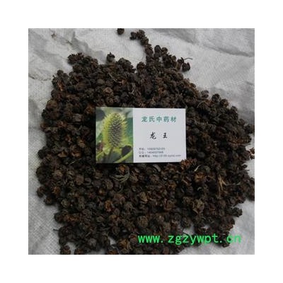 柏树果 精品货 产地 四川省成都市双流县