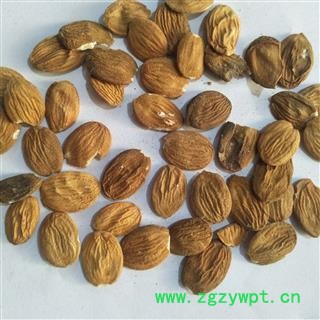 桃仁 扁桃仁统货个头饱满无烂仁 产地 山西省图3