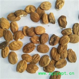桃仁 扁桃仁统货个头饱满无烂仁 产地 山西省图4