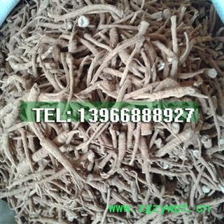 娟子中药批发 三七根须  产地 云南省文山壮族苗族自治州马关县图3