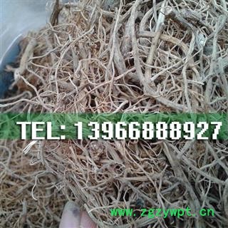 娟子中药批发 三七根须  产地 云南省文山壮族苗族自治州马关县图2