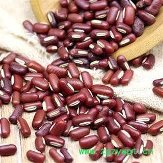 红小豆 秦岭农家优质赤小豆 手工采摘分拣日晒500g 另有绿豆 白扁豆 黄豆 薏仁等图2