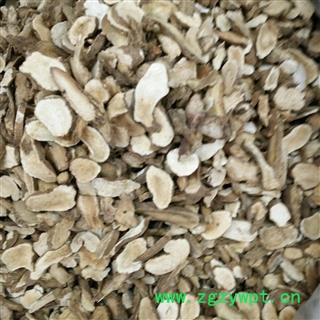 白术 一年生白术片 产地 安徽省图2