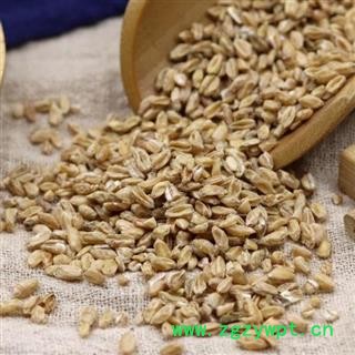 秦岭农家正品浮小麦 小麦瘪子散装另有甘草大枣500克图3