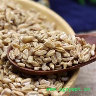 秦岭农家正品浮小麦 小麦瘪子散装另有甘草大枣500克图2