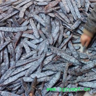 皂荚 秦岭野生皂角 大皂角 手工铡段 日晒500g可配侧柏叶首乌洗头图3