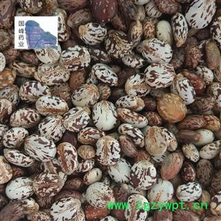 蓖麻子 统货 无虫蛀 无硫磺 国峰药业 重在品质 产地 山东省图2