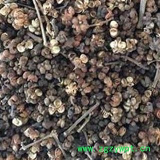 吴茱萸 吴萸 吴茱萸中花选货 气味大 产地 江西省图2