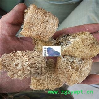 丝瓜络 净货无增重  自产自销 无硫磺 国峰药业 重在品质 产地 山东省图2