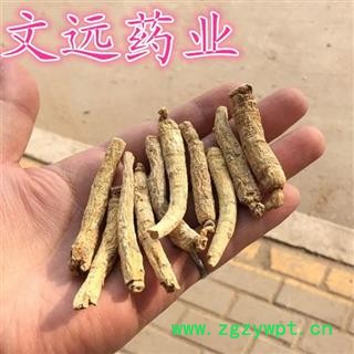 西洋参 段支 每支2-3克左右  药效十足 产地 吉林省图2