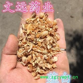 薤白 统装 产地 吉林省吉林市市辖区图2