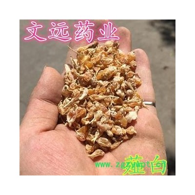 薤白 统装 产地 吉林省吉林市市辖区