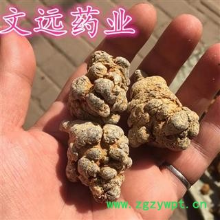 三七 25头-26 产地 云南省文山壮族苗族自治州图2