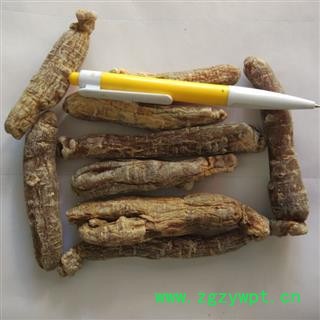 红参 红参个 大个 产地 吉林省图3