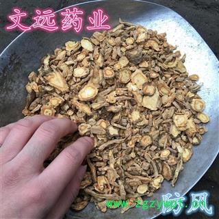 防风 大统  药效十足 产地 河北省邯郸市市辖区图3