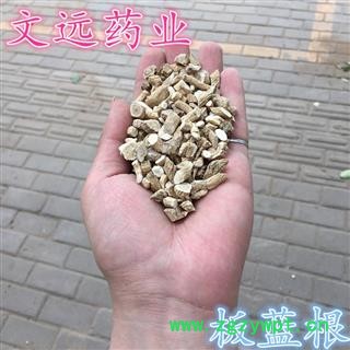 板蓝根 大统 产地 甘肃省定西市市辖区图3