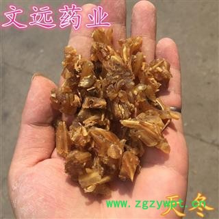 天冬 大统 天门冬 产地 广西壮族自治区玉林市市辖区