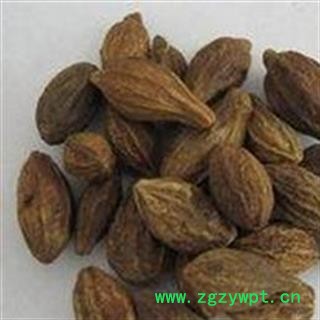 金诃子 柯子 精品诃子统个 产地 广西壮族自治区图2