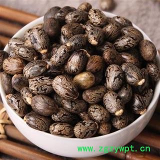 蓖麻子 秦岭优质正品日晒无硫1000g【打折已结束】图2