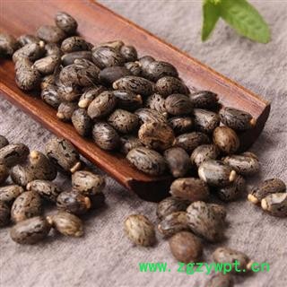 蓖麻子 秦岭优质正品日晒无硫1000g【打折已结束】图3