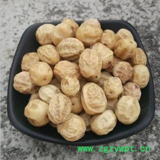 【可种植】苦楝子 秦岭 川楝子 楝实 金铃子 新品 干净 无硫1000g图2