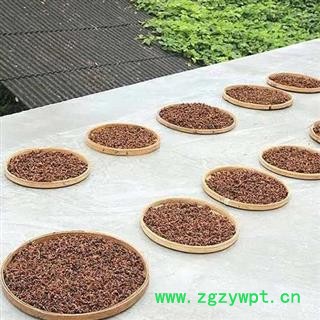 2020秦岭天然八角茴香大料 手工筛选 日晒无硫味浓500g(买2送2完)图4
