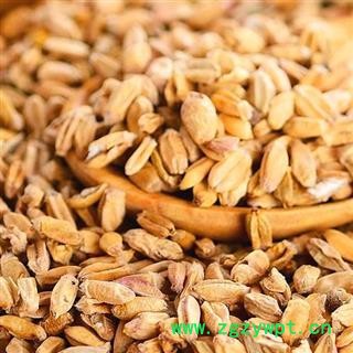 秦岭农家优质浮小麦 农户自种 手工簸净 日晒500g图2